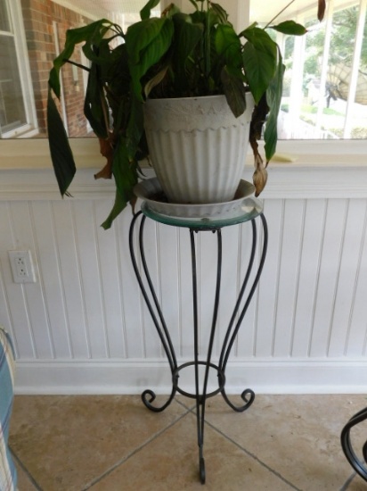 Wrought Iron Plant Stand w/Plant