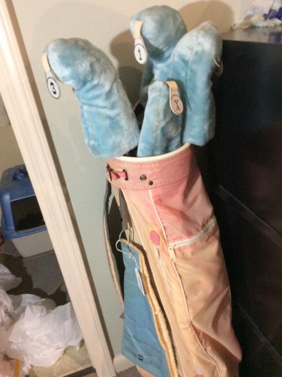 Ladies Golf Clubs by Nancy Lopez