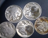 Nickels (5)