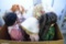 LOT OF PORCELAIN DOLLS