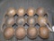 CAST IRON MUFFIN PAN