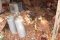 Contents of Shed Only