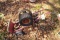 Homemade hand cart with engine