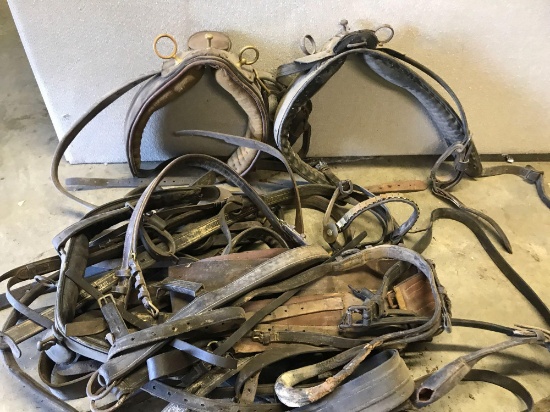 Carriage Horse Harness Parts