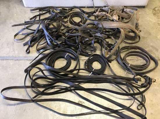 Carriage Horse Harness Parts
