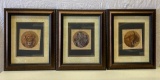 3 Framed Animal Prints by Nancy H. Strailey