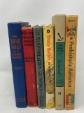 Trixie Belden and more Story Books