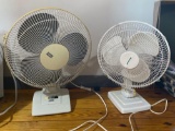 Electric Oscillating Fans