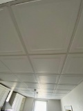 Paneled Drop Ceiling Tiles and Track