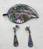 Abalone Brooch and Earrings