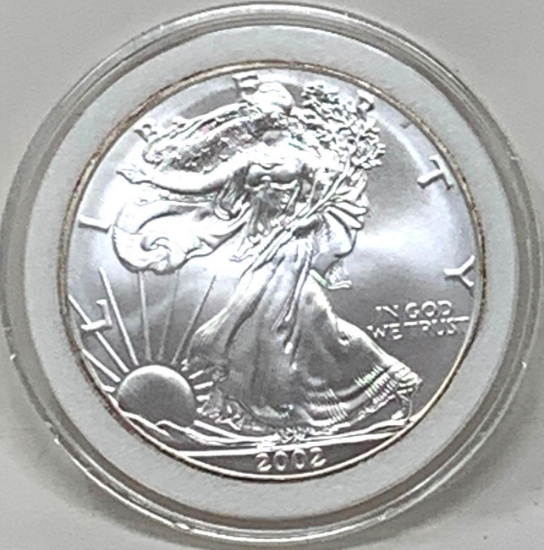 2002 American Eagle One Ounce Silver Bullion Coin