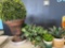 Potted Faux Plants Grouping