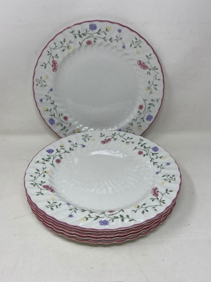 Johnson Bro's, England Plates, Decorated