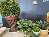 Potted Faux Plants Grouping