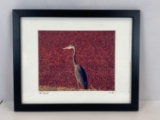 Framed Photograph of Bird by Bill Birchall, Dated 11-1-06