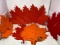 Large Grouping of Felt Maple Leaf Cut-Outs- All New