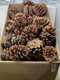 Large Box of Pine Cones