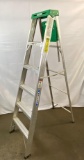 Werner 6' Aluminum Ladder