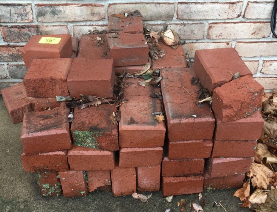 Grouping of Paver/Edger Bricks