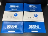6 Bank Bags from Blue Ball National Bank