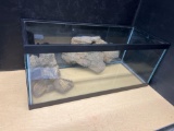 Glass aquarium with faux rock habitat