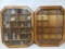 Pair of Display Boxes with Glass Fronts and Contents
