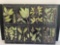 Botanical Identification Print on Canvas