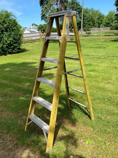 Werner 6' Step Ladder