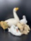 Animal Figures- Sheep, Swan, Goose, Pigeon
