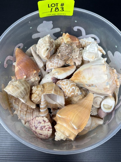 Plastic Christmas Bowl with Sea Shells