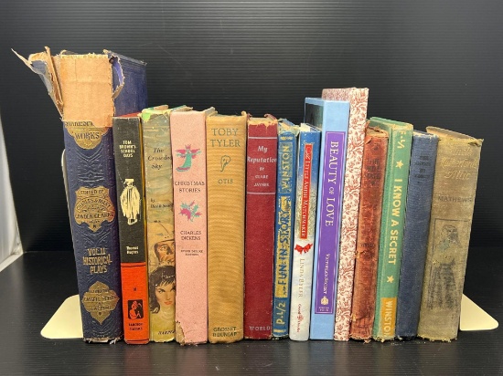 Books Lot- Mostly Fiction Titles