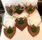 6 Shield Plaques with Whitetail Antlers