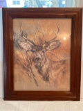 Framed Print of Buck by K. Maroon