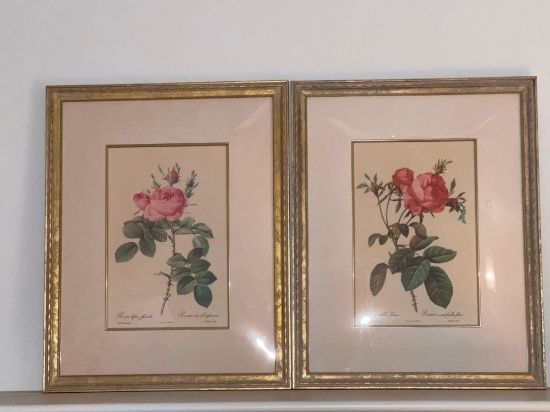 Pair of Framed Botanical Rose Prints