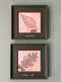 Framed Leaf Prints- Chestnut & White Oak