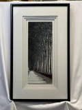 Framed and Multi-Matted Paths Through Trees Print