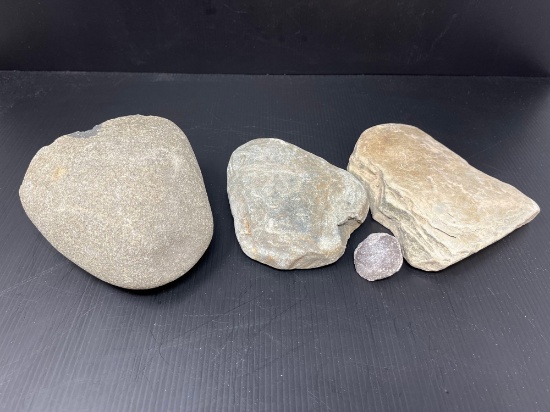 Limestone & Other Rock Samples