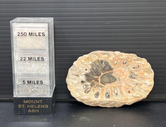 Mt. St. Helen's Ash and Pinus Aestefani ("Pine Cone") from Plyocene Era