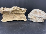 Sea Fossils in Nondescript Rocks
