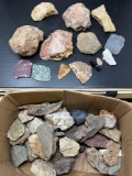 Assorted Rock/Mineral/Fossil Samples