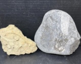 Non-Descript Fossilized Rock Samples