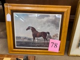 FRAMED HORSE PRINT 