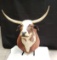 LONGHORN MOUNT - TAN AND WHITE