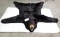 BEAR SKIN RUG