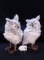 PAIR OF Z GALLERIE SNOW OWLS