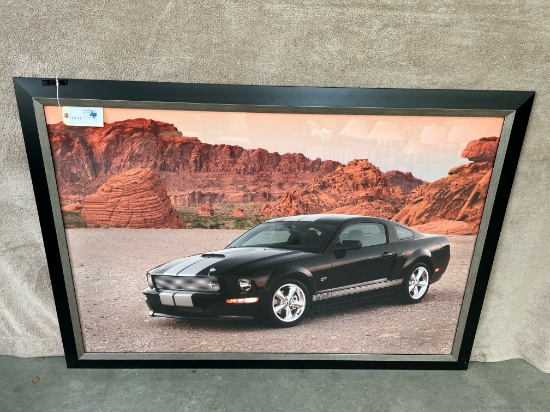 LARGE FRAMED MUSTANG PICTURE