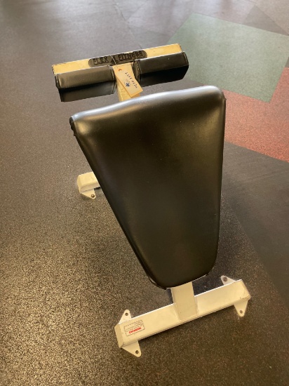 BODY MASTERES HYPER EXTENTION CHAIR
