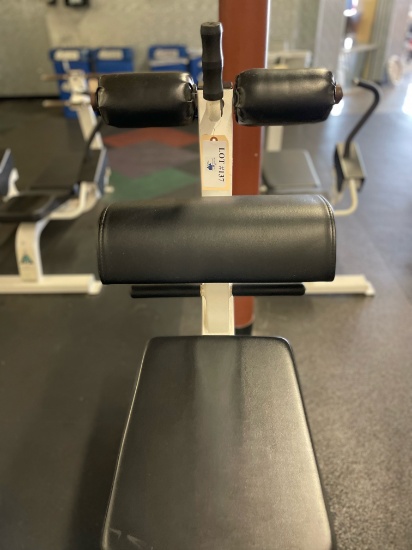 BODY MASTERS ADJUSTABLE AB BENCH
