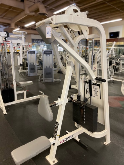 CYBEX ROW REAR DELT MACHINE