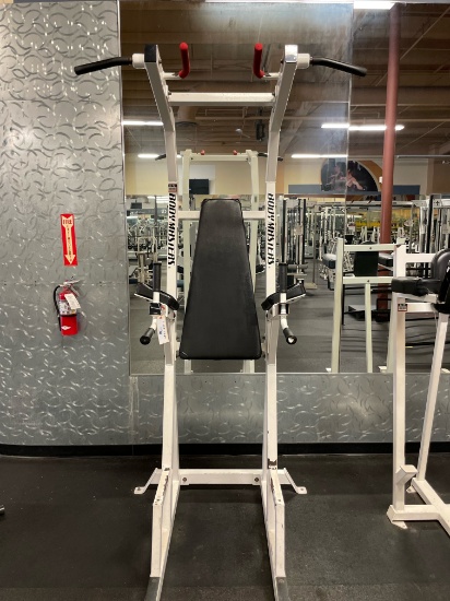 BODY MASTERS FITNESS TOWER
